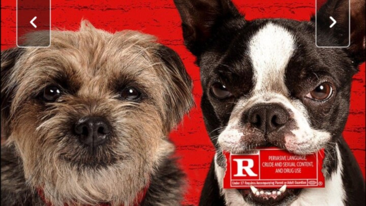 Strays Watch Full Movie : Link in Description