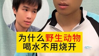 为什么野生动物可以直接喝河水？