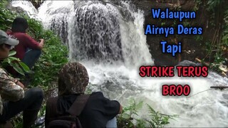 Mancing di Sungai Air Deras Ini Strike Terus Broo