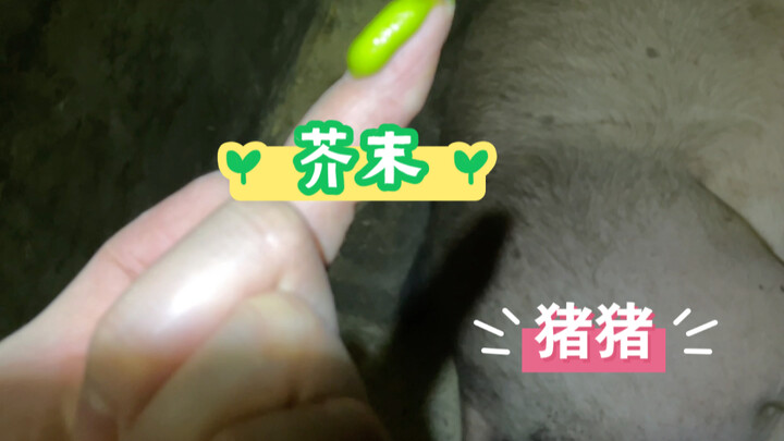 你们肯定也好奇啊