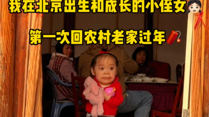 Cô cháu gái nhỏ của tôi, người sinh ra và lớn lên ở Bắc Kinh, lần đầu tiên về quê nông thôn đón Tết