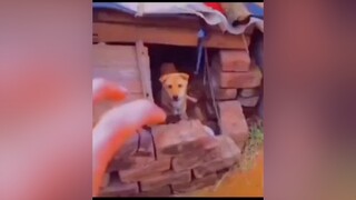 xuhuongtiktokk2021xuhuongtiktokk2021 hai troll vuinhon VuDieuAnNgon Halloween2021 TikTokFashUP MonNgonThanThuong