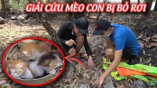 Giải Cứu Mèo Con Bị Bỏ Rơi Ngoài Đồng Hoang ( Rescue The Kitten)