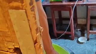 Video pertama, mohon dukungannya dengan like, subscribe, dan share!