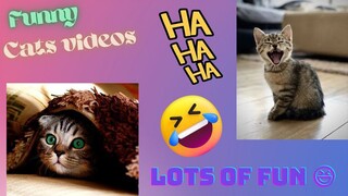 😂 Copycat 😂 funny animal video funny video comedy video funny comedy cute animals