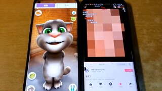 Can I still have this Tom cat? (இωஇ)