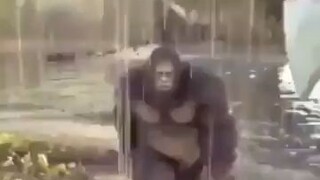 Monke