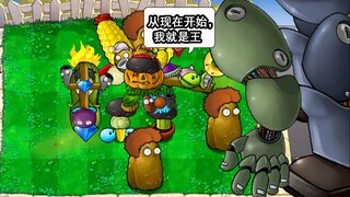 植物战神吊打僵王博士