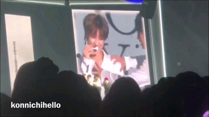 【ควี่ปา】ฉันเองยังอายเกินกว่าจะดูซ้ำรอบสอง โอเมก้าสายใสชวนตกหลุมรัก X อัลฟ่าจอมเฮี้ยบสไตล์หมาป่า