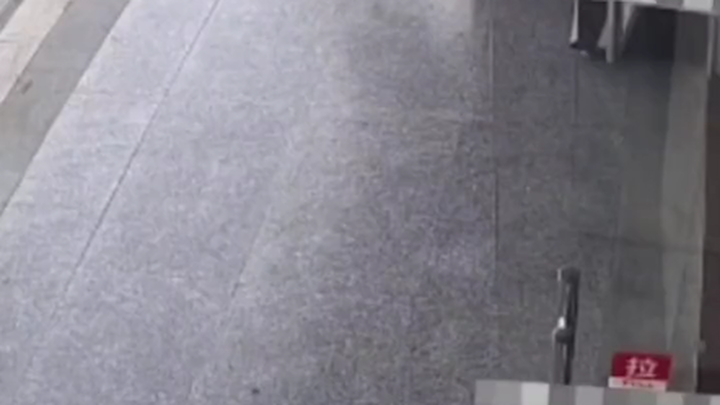 Mèo ú bị bắt nạt chạy về nhà cầu cứu #Anh cả xuất chiêu #Đối phương lập tức khiếp sợ #Thường ngày mè