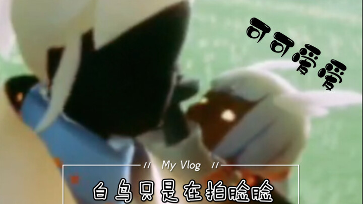 【光遇】可可爱爱小奶鸟在线拍脸脸～