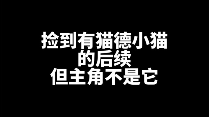 Follow-up on Finding a Calico Cat with Feline Deity Powers: Hope Kindhearted You’ll Watch Till the E