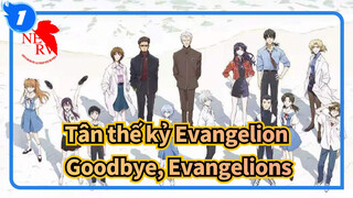[Tân thế kỷ Evangelion] Cảm ơn và Tạm biệt, Evangelions_1