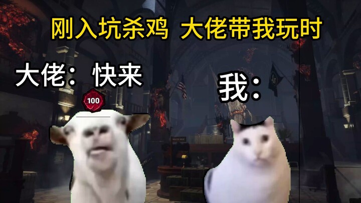 Kondisi terkini pemula yang baru mulai main game "Membunuh Ayam"