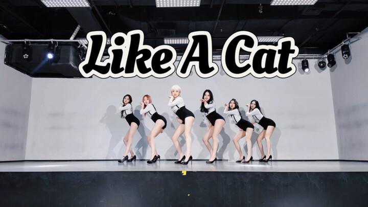 【Klaster Planet PPX】“Mereka mendatangkan adik kandung ChoA untuk acara roadshow!” AOA - Like A Cat [