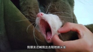 أنا أيضًا لا أريد تقبيله، لكنه لطيف جدًا！！！！！！