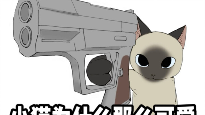 Cats, why are they so cute?
