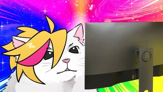 当你打 Nyan Cat 的时候 ，不小心 miss 了……