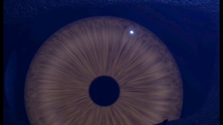 ใครอยากสัมผัสความหวาดกลัวใต้ทะเลลึก เชิญทางนี้เลย!