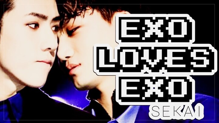 Exo loves Exo: SeKai