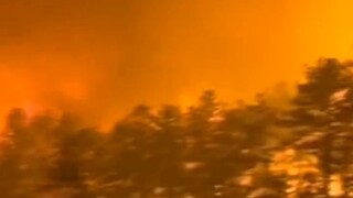 #Hit Topic Creation Plan #Strange Knowledge Gained How did the redwood tree become the world's most 