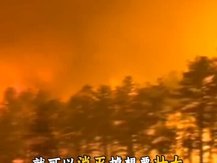 #خطة إنشاء مواضيع رائجة #معرفة غريبة تزداد كيف أصبحت شجرة السيكويا أخطر شجرة في العالم #شجرة السيكوي