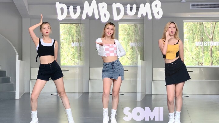 [Full-Track Costume Change Dance Cover] American Campus Sweetheart! Somi – Dumb Dumb Quick-Cover wit