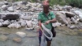 HIMALAYAN TROUT FISHING IN NEPAL | CAST-NET FISHING | STREAM RIVER FISHING | ASALA FISHING |