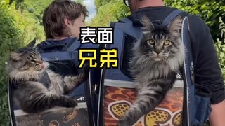 Those embarrassing moments for animals!