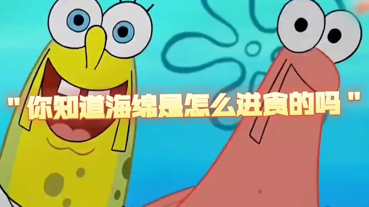 ＂你知道海绵是怎么进食的吗＂