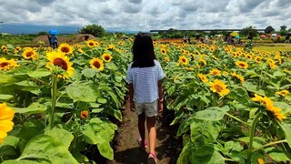 Tara suroy ta sa Bukid Amara Davao City