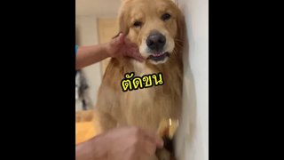 ทำไมน่ารักขนาดนี้ ❤️❤️