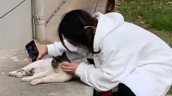 Is this how you treat Senior Maomao?