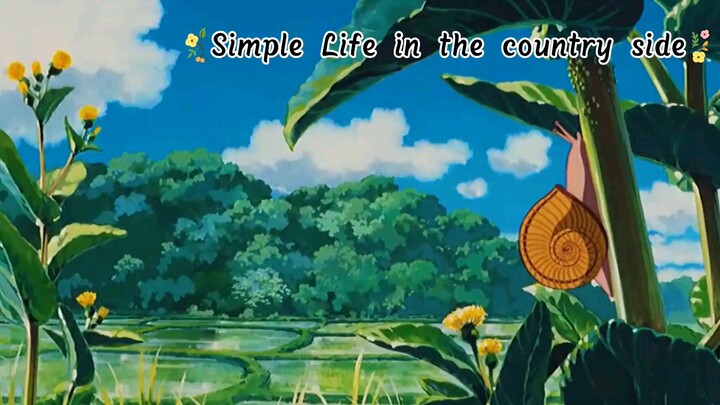 Country life feels like.
