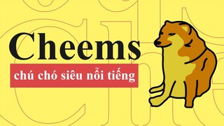 Cheems MEME  Và Câu Chuyện Về Sự Nổi Tiếng Của Chú Chó Shiba | Từ Điển Internet