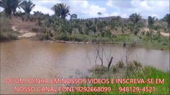FAZENDA COM 24 ALQUEIRÃO A VENDA ct