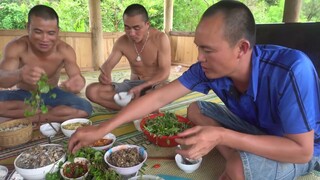 Chinh phục tổ ong ruồi cực to và nhiều mật rồi ăn luôn