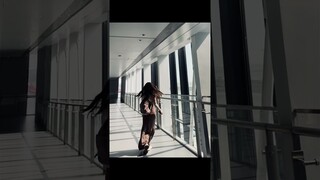 #zhaolusi Update 240127