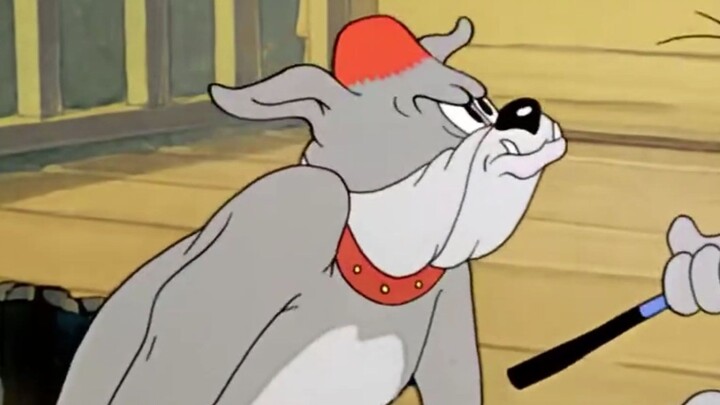 Tom dan Jerry: MV Asli yang Lembut Membangunkan Jiwa yang Tertidur Bocor—Para Pendatang Semuanya Ibl