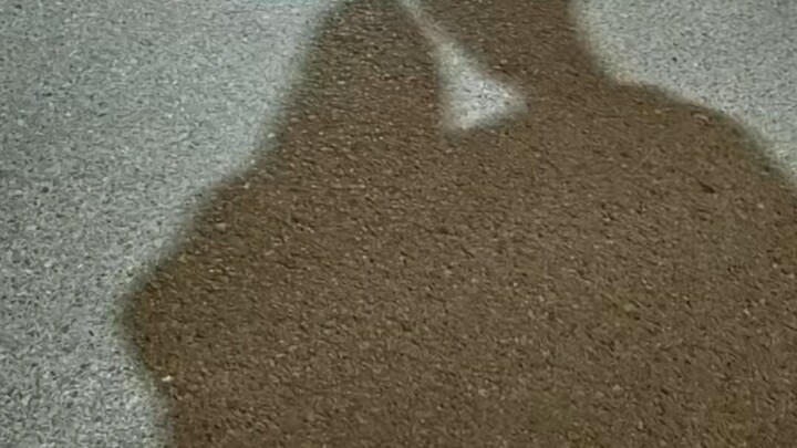 Roti pasti akan ada, cinta juga pasti akan datang.