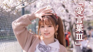 愛言葉Ⅲ🌸__桑，故乡同济大学的sakura又开了