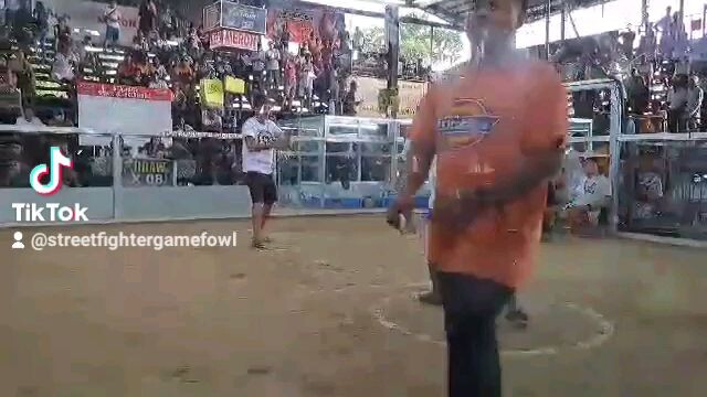 Robocop Dom 2nd win/pakpak lang ang tama balda na..salute warrior