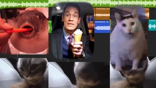 最近外网爆火的Dubidubi哇啊啊啊？