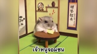 เจ้าหนูจอมซน
