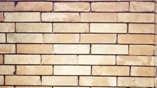 [Pelatihan Cucu] Kisah Cinta Berdarah Liga Pemuda Times "Youth ON FIRE" Ruang Latihan Lompat Dua Tah