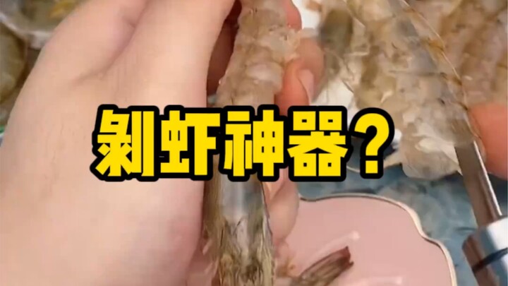虾：早知道烂海里