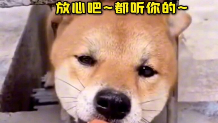 Tớ đây, dù sao cũng hiểu chút tình đời đấy!