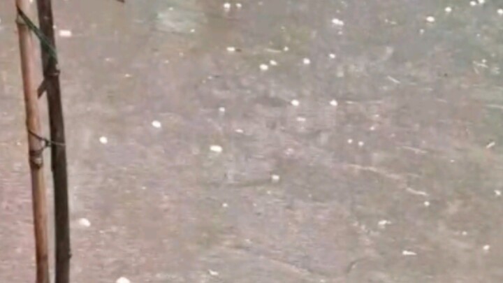 rain Water pot #rain