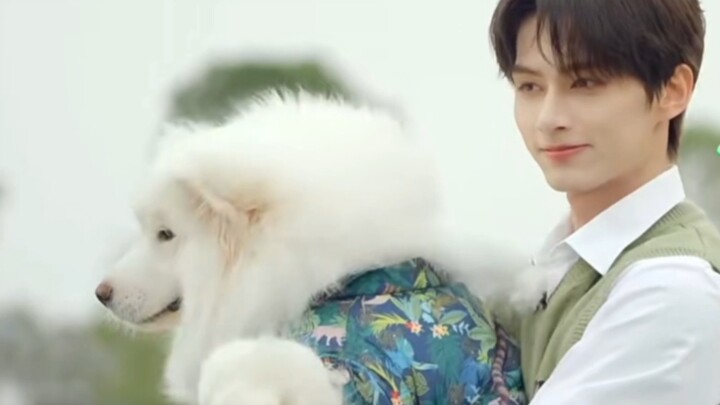 Wen Junhui berjalan di catwalk bersama anjing besar