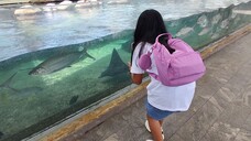 Cebu Ocean Park